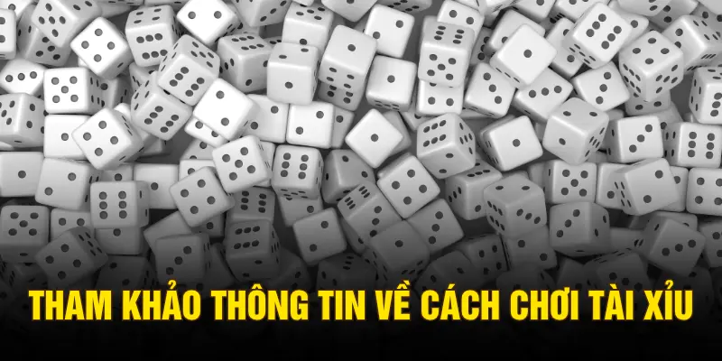 Tham khảo thông tin về cách chơi tài xỉu
